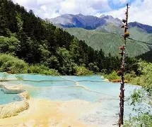 南美妖姬再发威，逐梦之旅步履坚定