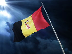 电竞赛场焦点！英格兰队对阵比利时队，核心球员受伤，球队前景蒙阴影